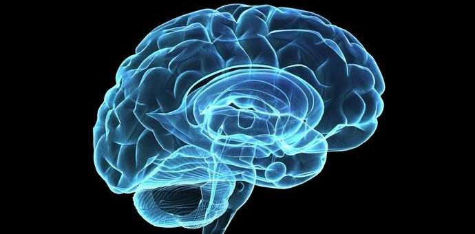 Združene bakterije lahko tvorijo kolektivni um.