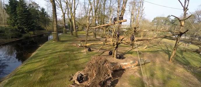 Opice so ustrelili in raziskali ustvarjalce dokumentarnih filmov o večkopterjih