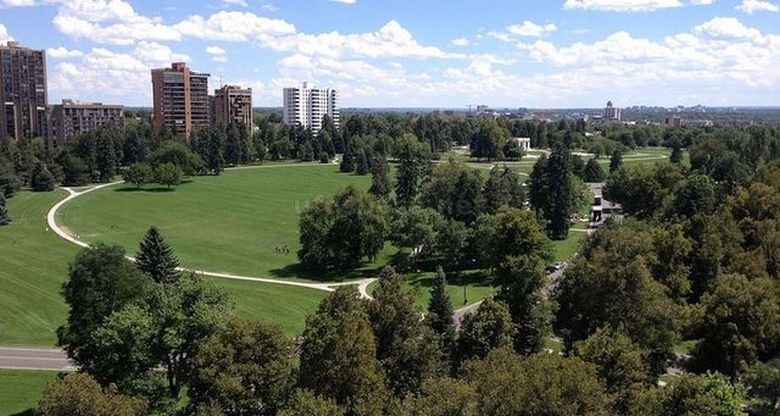 Močnik mrtvega parka