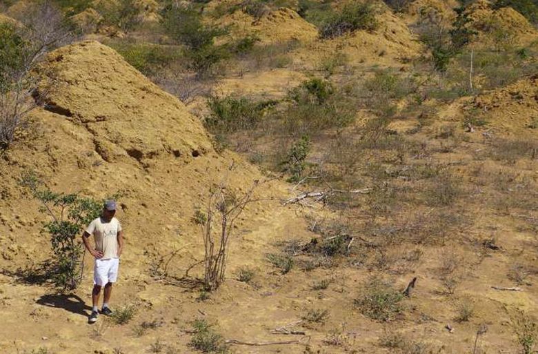 Termin, najden starejši od piramid v Gizi