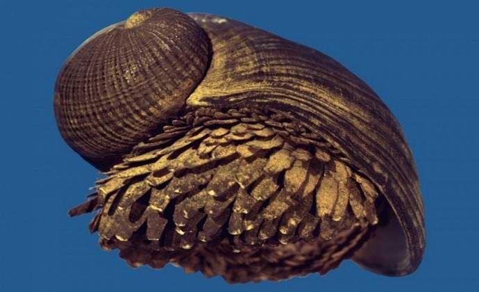 Našli polža s kovinsko lupino