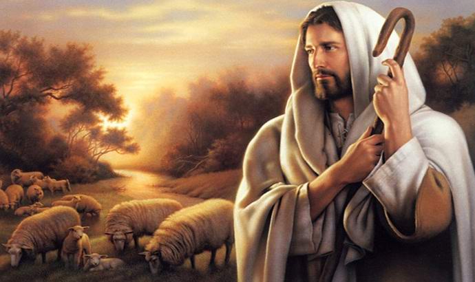 Podoba Kristusa je bila opažena na deblu podrtega drevesa.