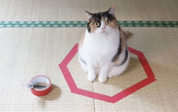 Obrisan krog je dober, polje pa boljše.