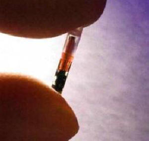 Zbudi se z vsadkom v telesu