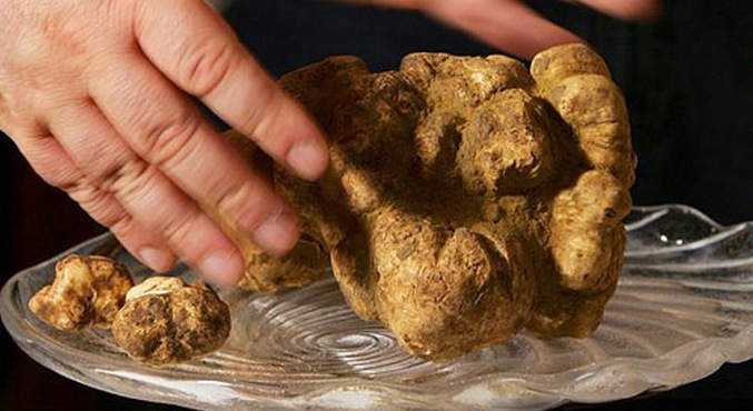 Presenečajo in razveseljujejo nas.