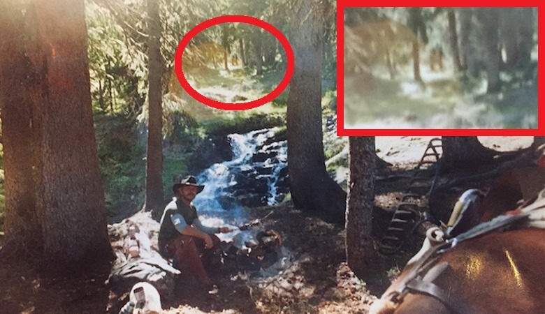 Objavil redko fotografijo snežaka