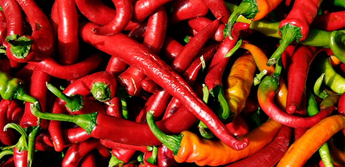 Pekoča paprika ščiti vaša jetra pred poškodbami.