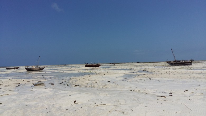 Voda je zapustila obalo otoka Key Largo na Floridi.