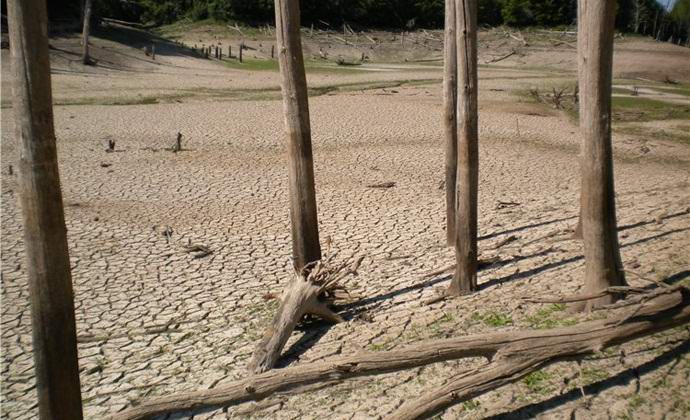 Jezero mrtvih dreves blizu Kazana