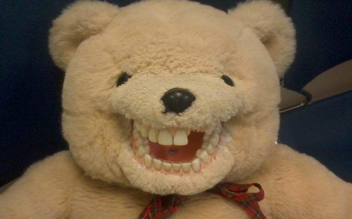 Oživljeni medved, posnet na kamero