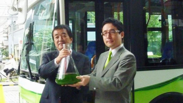 Prvi avtobus z algami na svetu, ki vozi na Japonsko