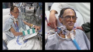 članek-0-1194FFA5000005DC-384_634x345