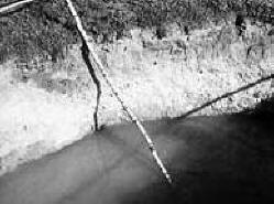 Sankt Peterburg ufolog o tujcih, ki kradejo tla