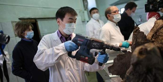 Mamuti bodo spet gostovali na severu Rusije.