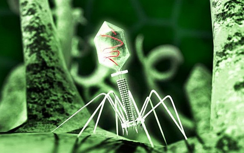 Tudi z virusom premagati raka ni enostavno.