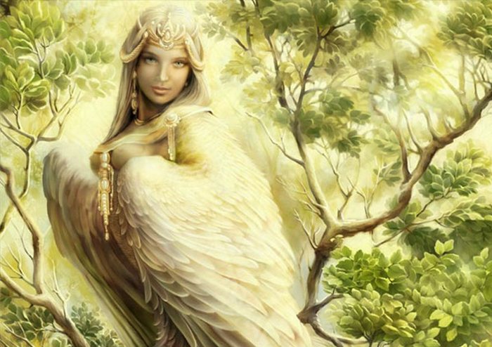 Zakaj angeli varuhi ne rešujejo vseh?