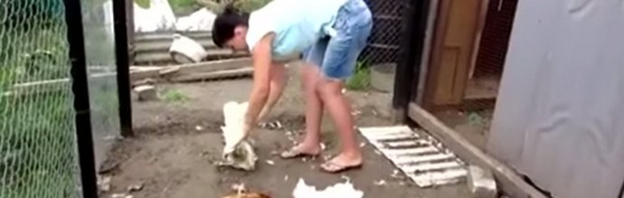 Zakaj se Chupacabra pojavlja kot od nikoder?