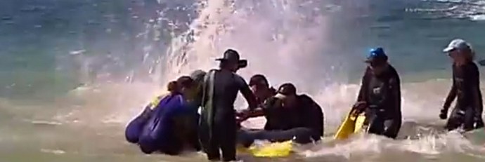 Zakaj se delfini množično umivajo na kopno?