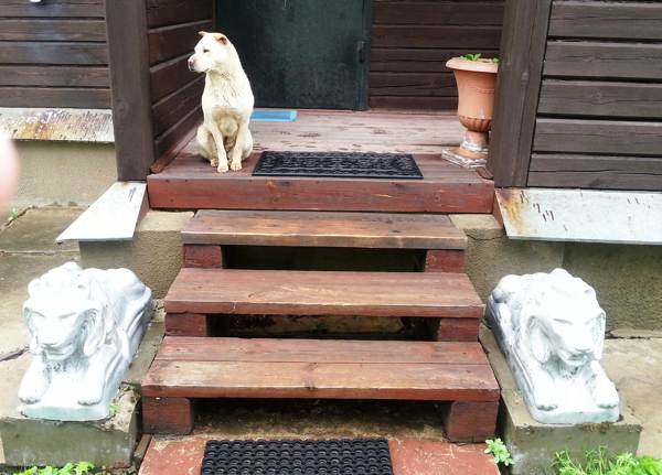 zakaj ne bi šel skozi prag 