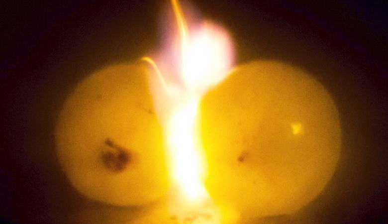 Zakaj grozdje eksplodira v mikrovalovni pečici?