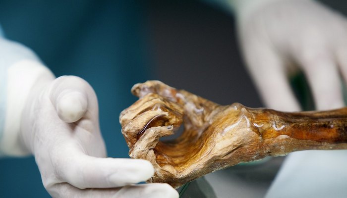 Zakaj se je prebivalka Jekaterinburga mumificirala?