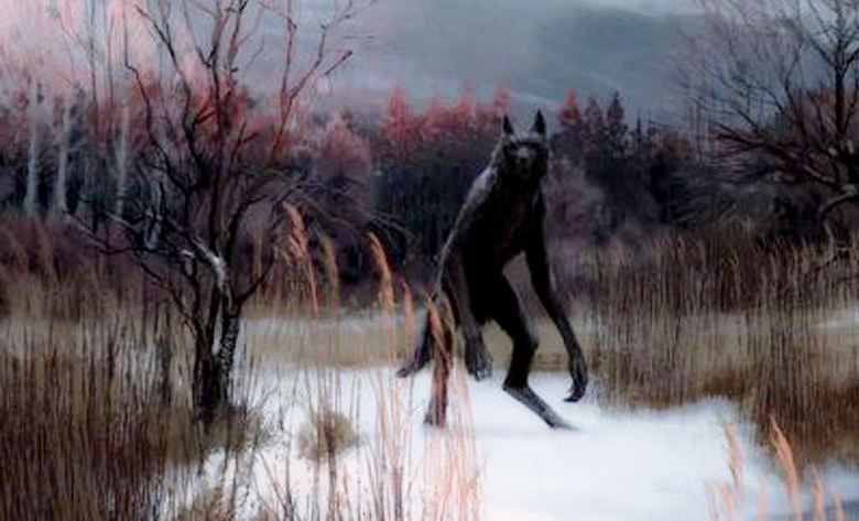 Pasji človek se spravi pod kolesa avtomobila in nič se mu ne zgodi.