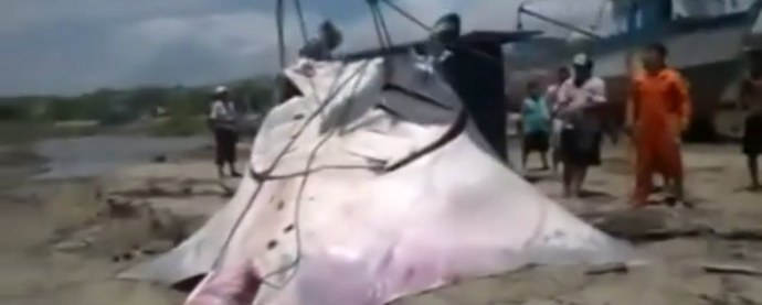 Ujel velikansko rampo