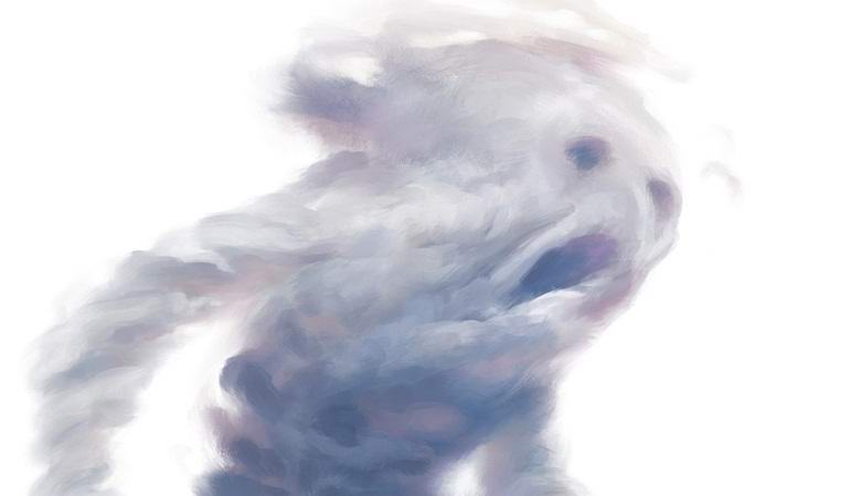 Poljak je fotografiral mitični zračni element na videu