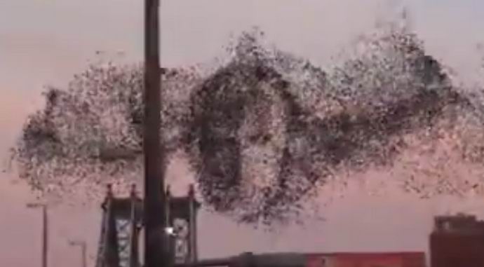 Putinov portret leti nad New York