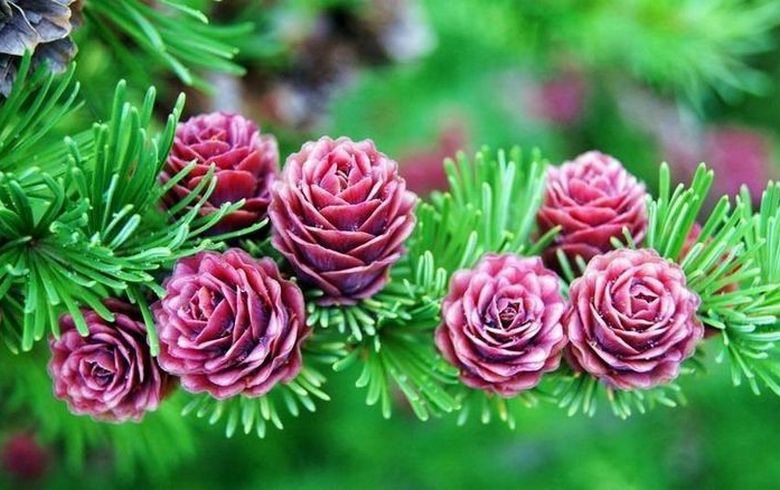 Poglejmo te slike in ... bodite presenečeni