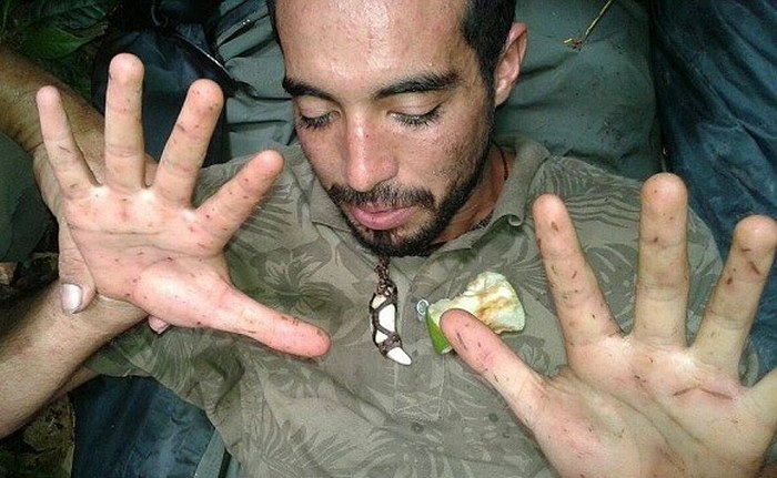 Izgubljeni v džungli ali v vzporedni dimenziji?