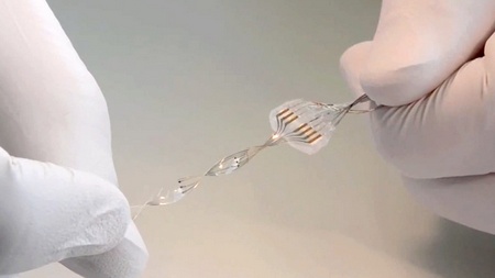 Poškodovana hrbtenica - ni pomembno!