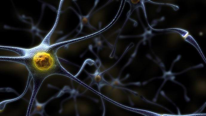 Poškodovane živce je mogoče popraviti z laserjem.