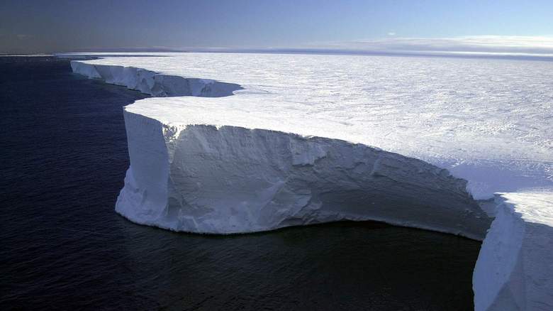 Obstajala je priložnost za raziskovanje neznanega ekosistema.
