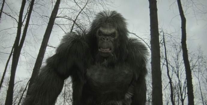 Predstavljeni novi dokazi za yeti