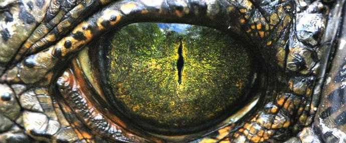 Bliža se novo obdobje velikanskih dinozavrov.