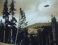 Pustolovščine pri fotografiranju NLP-jev