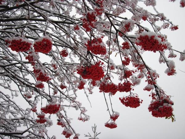 Znaki, običaji in zarote za 18. november - dan Galaktion, Epistimia in Jonah 