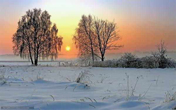 Tradicije in rituali 3. decembra 