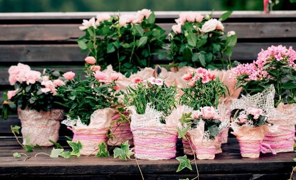 znaki o notranjem cvetju 