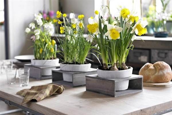 kakšnega cvetja ni mogoče hraniti v hišnih znakih 