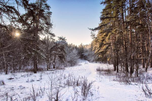 tablice za 9. december 