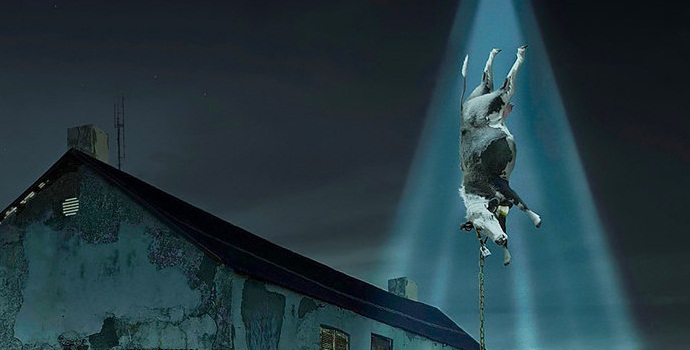 Ali vesoljci ugrabljajo živali iz ukrajinske rezerve?