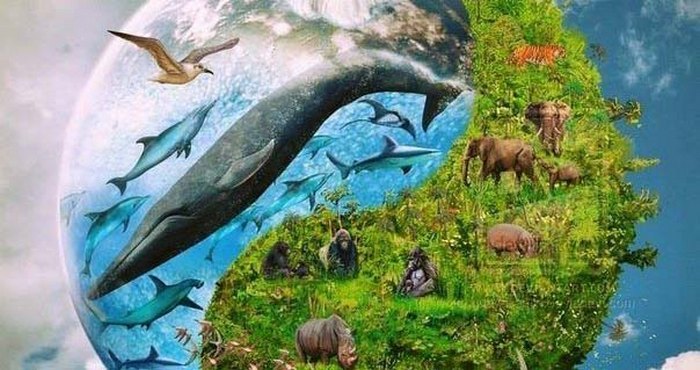 Prepoznavanje živali s strani inteligentnih bitij