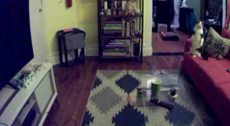 Duh agresivnega otroka, ujetega v videoposnetku?