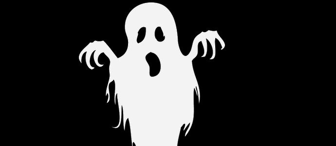 Duh je zadel nadzorno kamero angleške restavracije