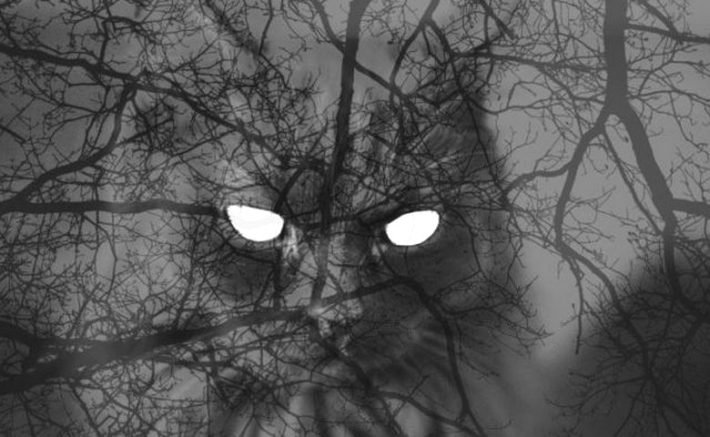 Duh v garaži je prestrašil stražarja