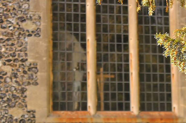 Duha lahko zaznamo že po vonju.