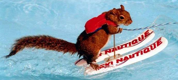 Smučarsko smučanje je postalo internetna senzacija.