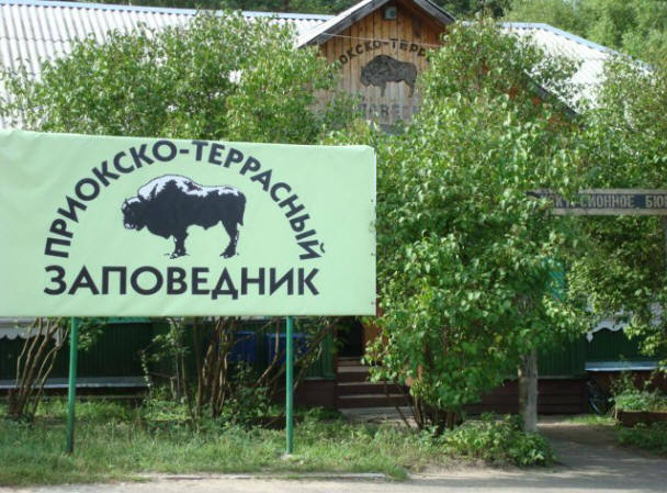 Manjka čas v rezervatu Prioksko-Terrasny